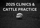 2025 Clinics & Cattle Practice